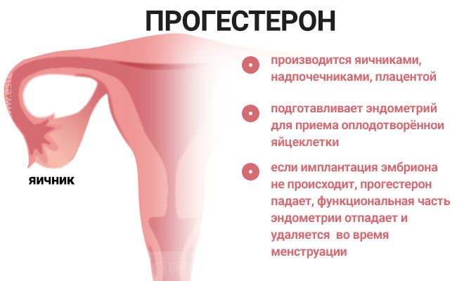 Имплантационное западение. — 14 ответов | форум Babyblog