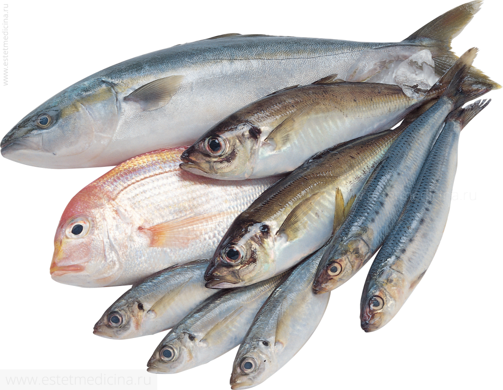 рыба - основной компонент японской диеты
