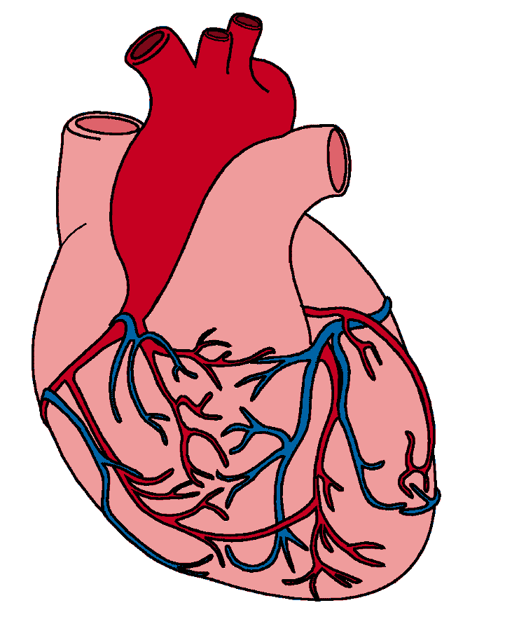 heart.gif