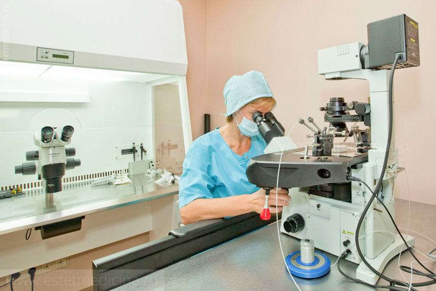 Эмбриология в Витро клиник