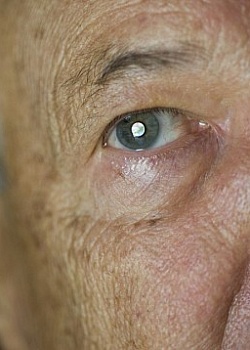 Какие продукты помогут предотвратить дегенерацию макулы глаз?