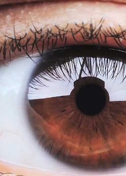 10 интересных фактов о человеческих глазах