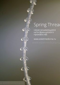 Spring Thread фото